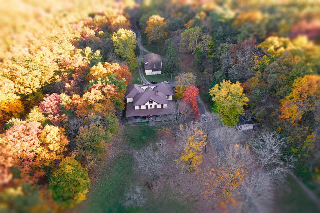 Peterkin from the sky