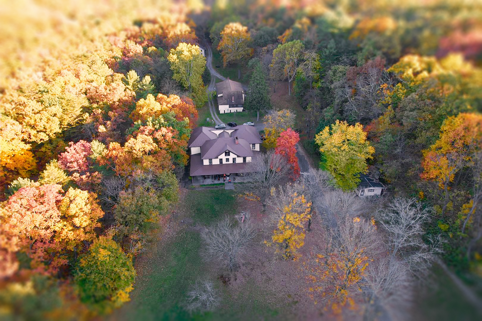 Peterkin from the sky